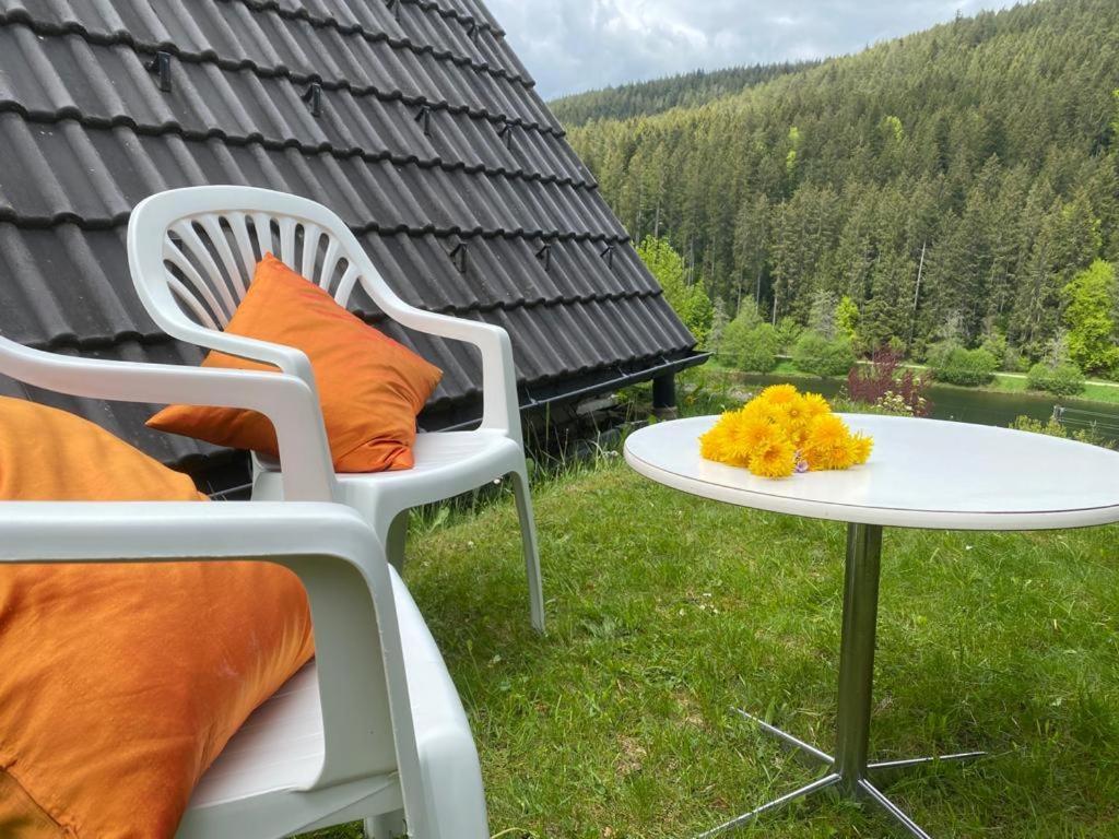 Haus Adler - Komplettes Ferienhaus Am Badesee Erzgrube エクステリア 写真