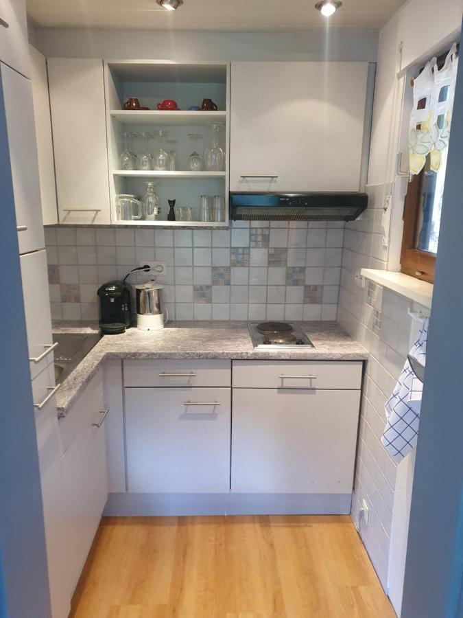 Haus Adler - Komplettes Ferienhaus Am Badesee Erzgrube エクステリア 写真