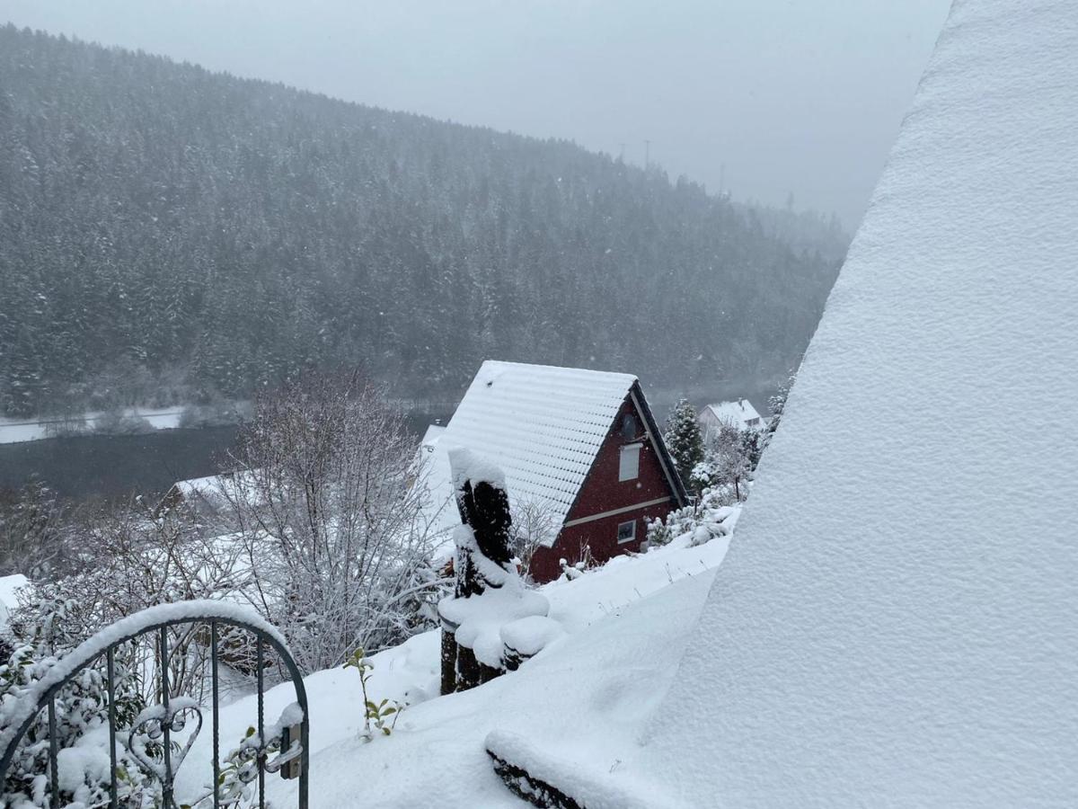 Haus Adler - Komplettes Ferienhaus Am Badesee Erzgrube エクステリア 写真