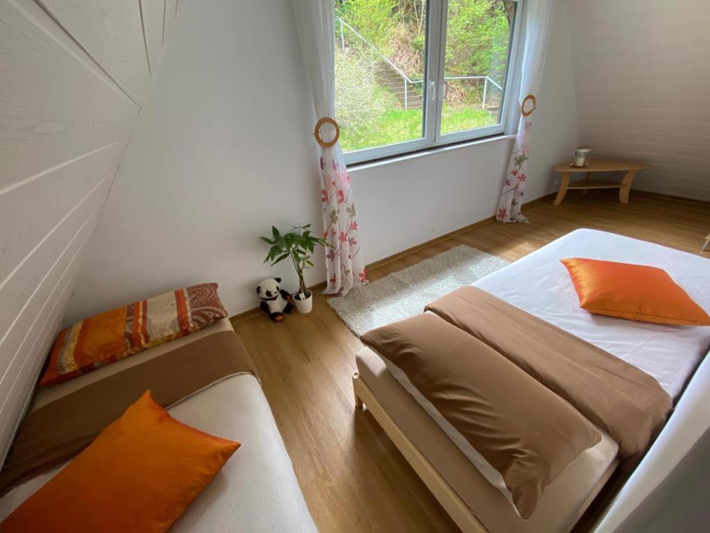 Haus Adler - Komplettes Ferienhaus Am Badesee Erzgrube エクステリア 写真