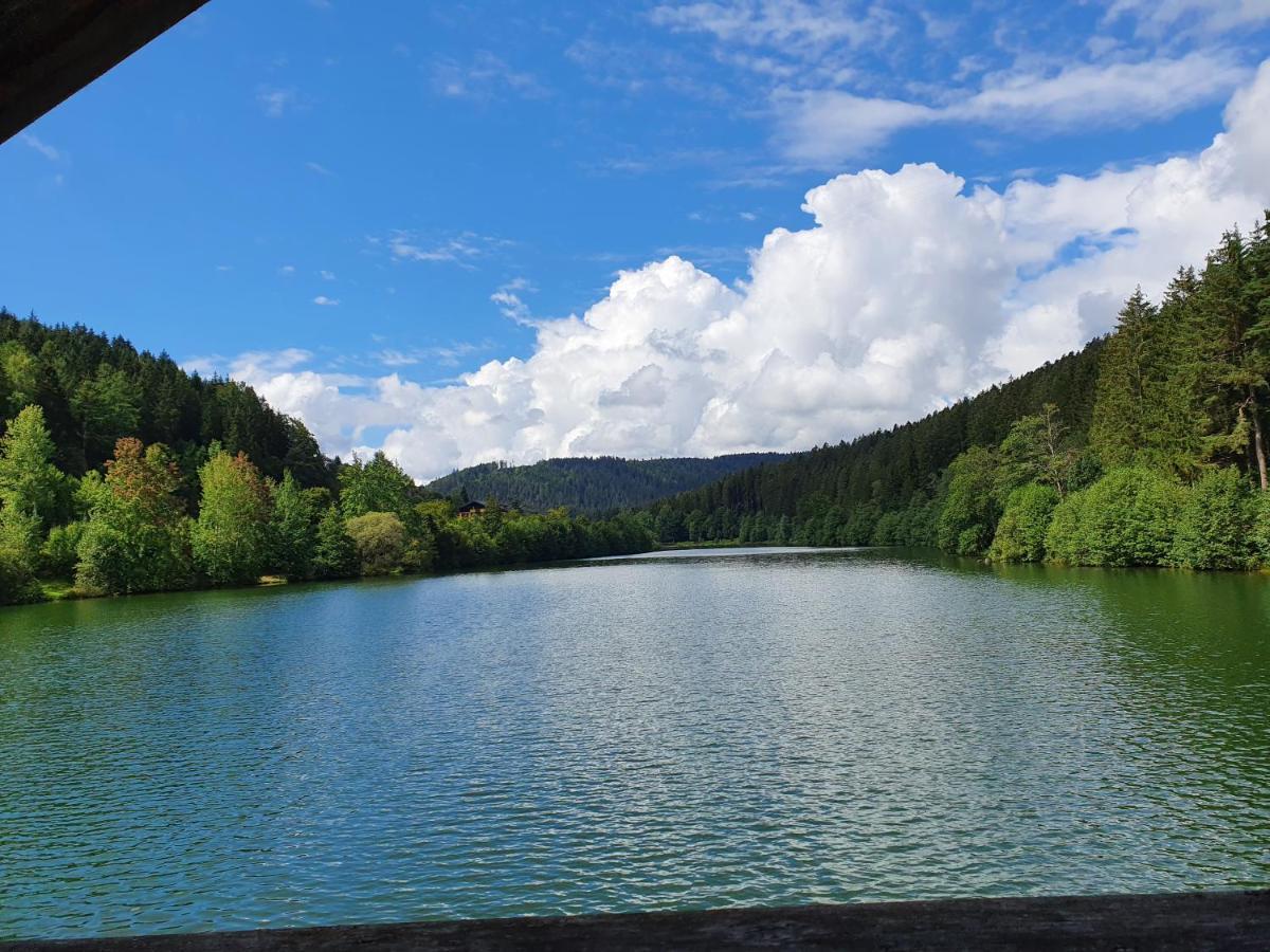Haus Adler - Komplettes Ferienhaus Am Badesee Erzgrube エクステリア 写真